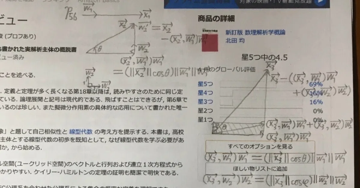 大学数学18章: 数理解析学概論 (2026.10.14. 22:25 改訂)｜半線型偏