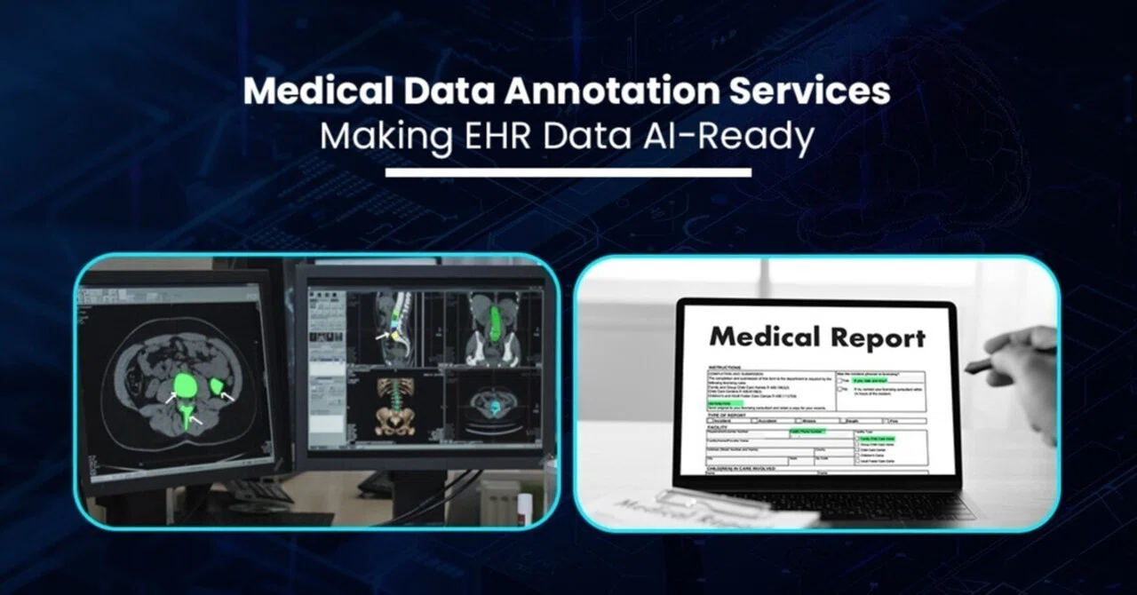 Medical Data Annotation Services: Making EHR Data AI-Ready｜Anolytics