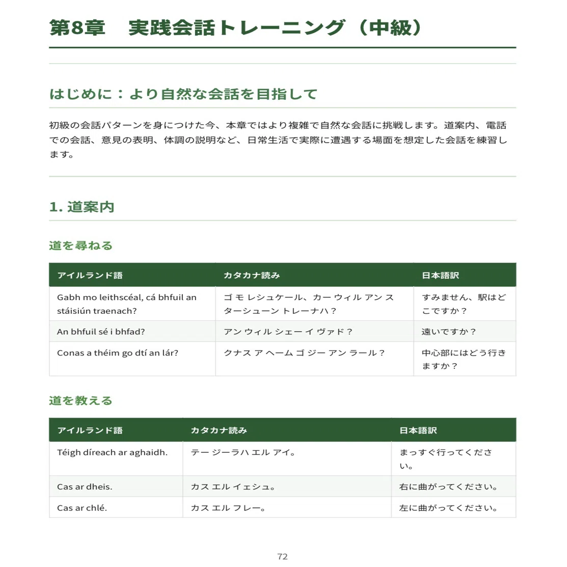 🇮🇪アイルランド語｜これ一冊でOK！完全攻略セット｜初心者〜中級1200