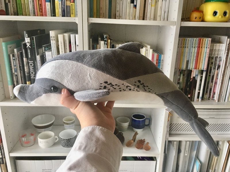 本日の一品 四国水族館応援グッズのマダライルカセット メディア出演情報 ミュージアムグッズ愛好家 大澤夏美 Note