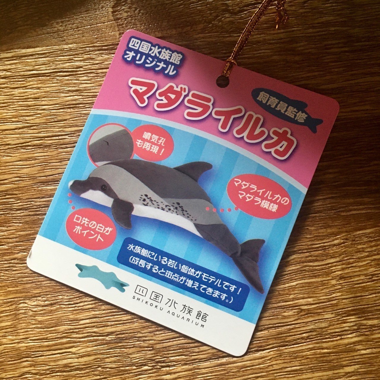 本日の一品 四国水族館応援グッズのマダライルカセット 開封式だよ 百物気 Momonoke 本日の一品 四国水族館応援グッズのマダライルカセット 開封式だよ 百物気 Momonoke