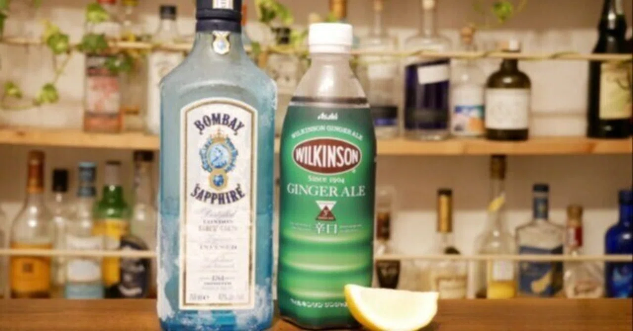 ジンバック と は