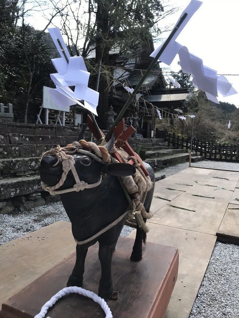 画像11