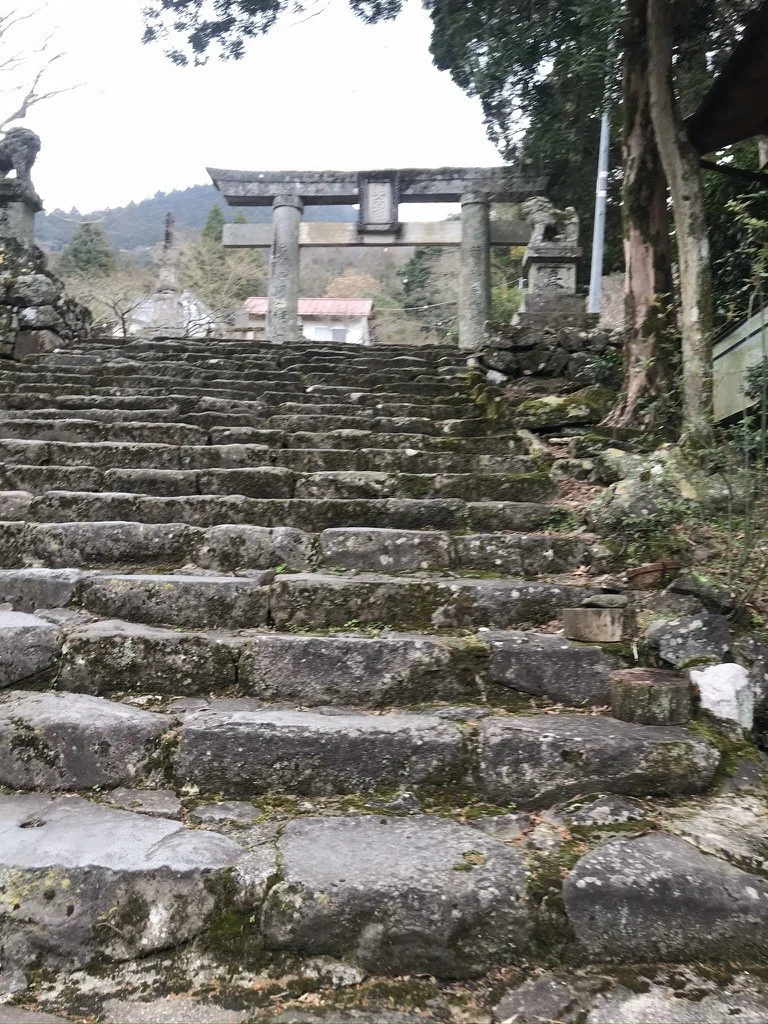 画像12