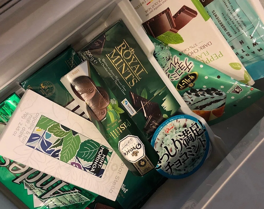 Chocolate Mint during Stay-at-Home Time｜株式会社ティラノ