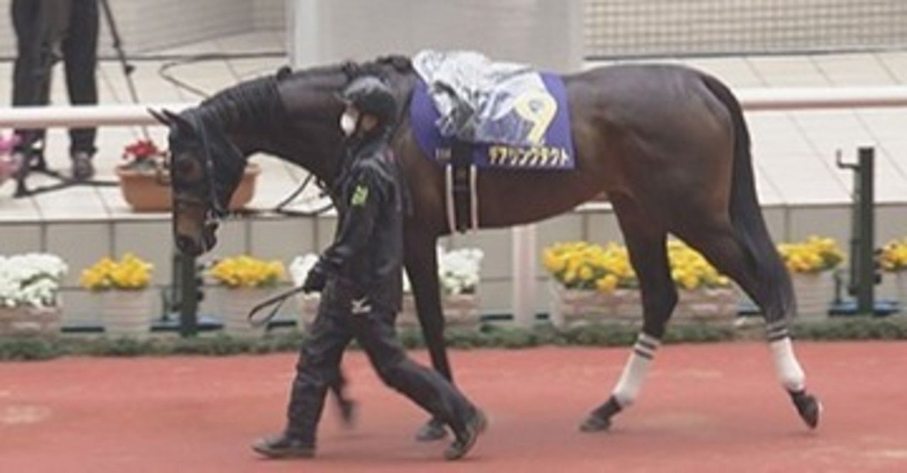 優駿牝馬 オークス 出走馬情報 常勝競馬 Note
