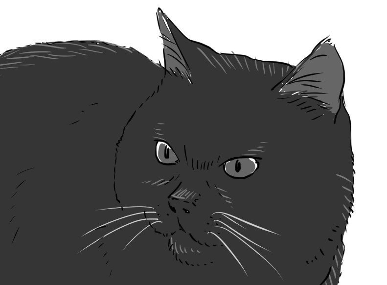 おえかき教室 ５ シュール系漫画の猫の描き方 猫野サラ Note
