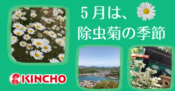 KINCHOこと、大日本除虫菊株式会社のひみつ｜KINCHO 大日本除虫菊株式