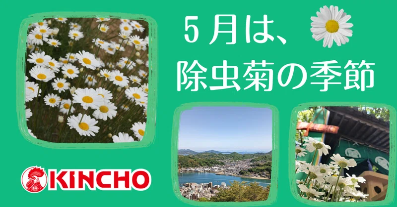KINCHOこと、大日本除虫菊株式会社のひみつ｜KINCHO 大日本除虫菊株式