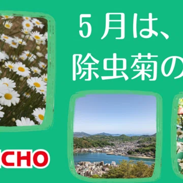 KINCHOこと、大日本除虫菊株式会社のひみつ｜KINCHO公式note 大日本