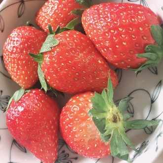 距離の置き方 わにまる Note