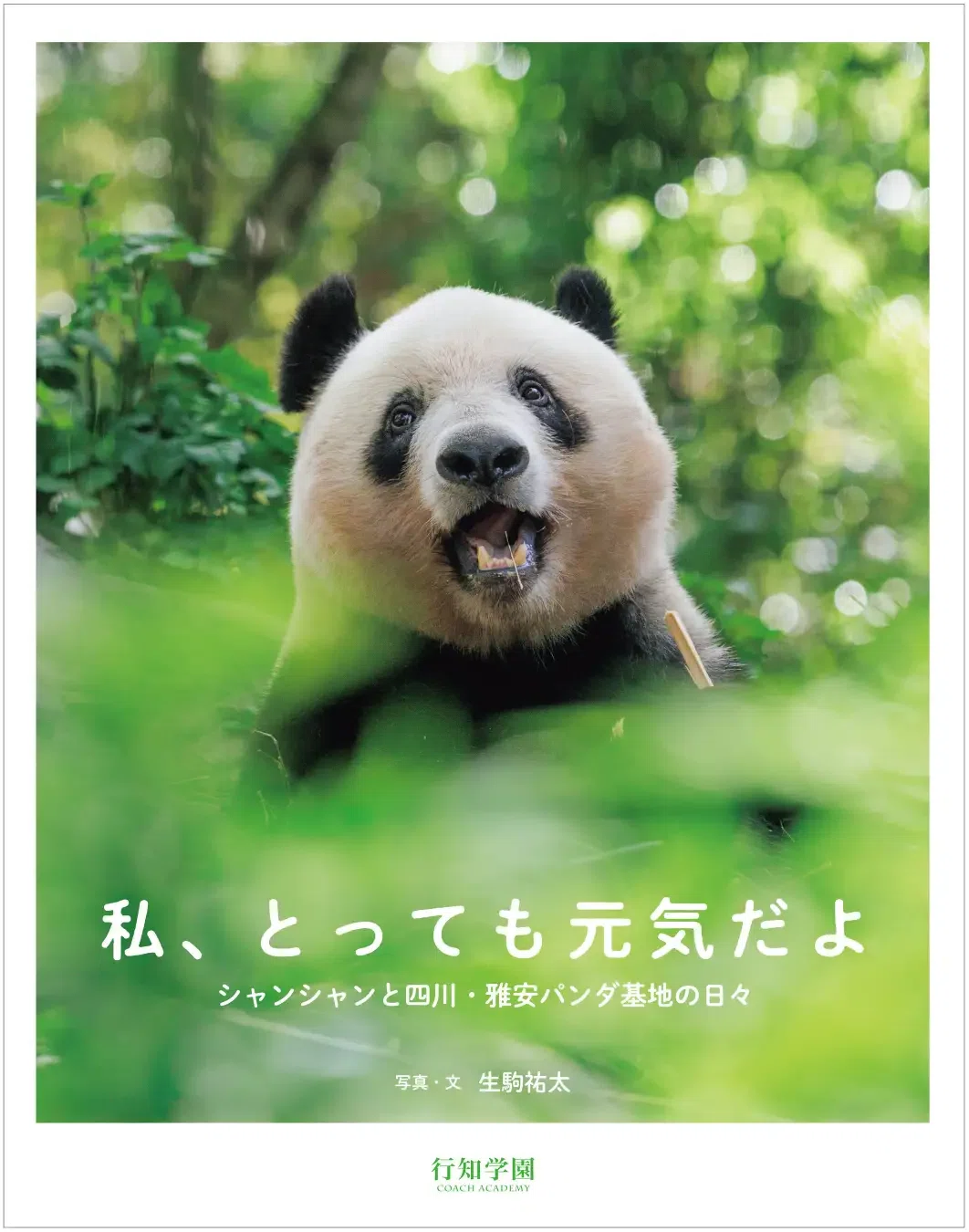 4月3日、行知学園出版の写真集『私、とっても元気だよ シャンシャンと