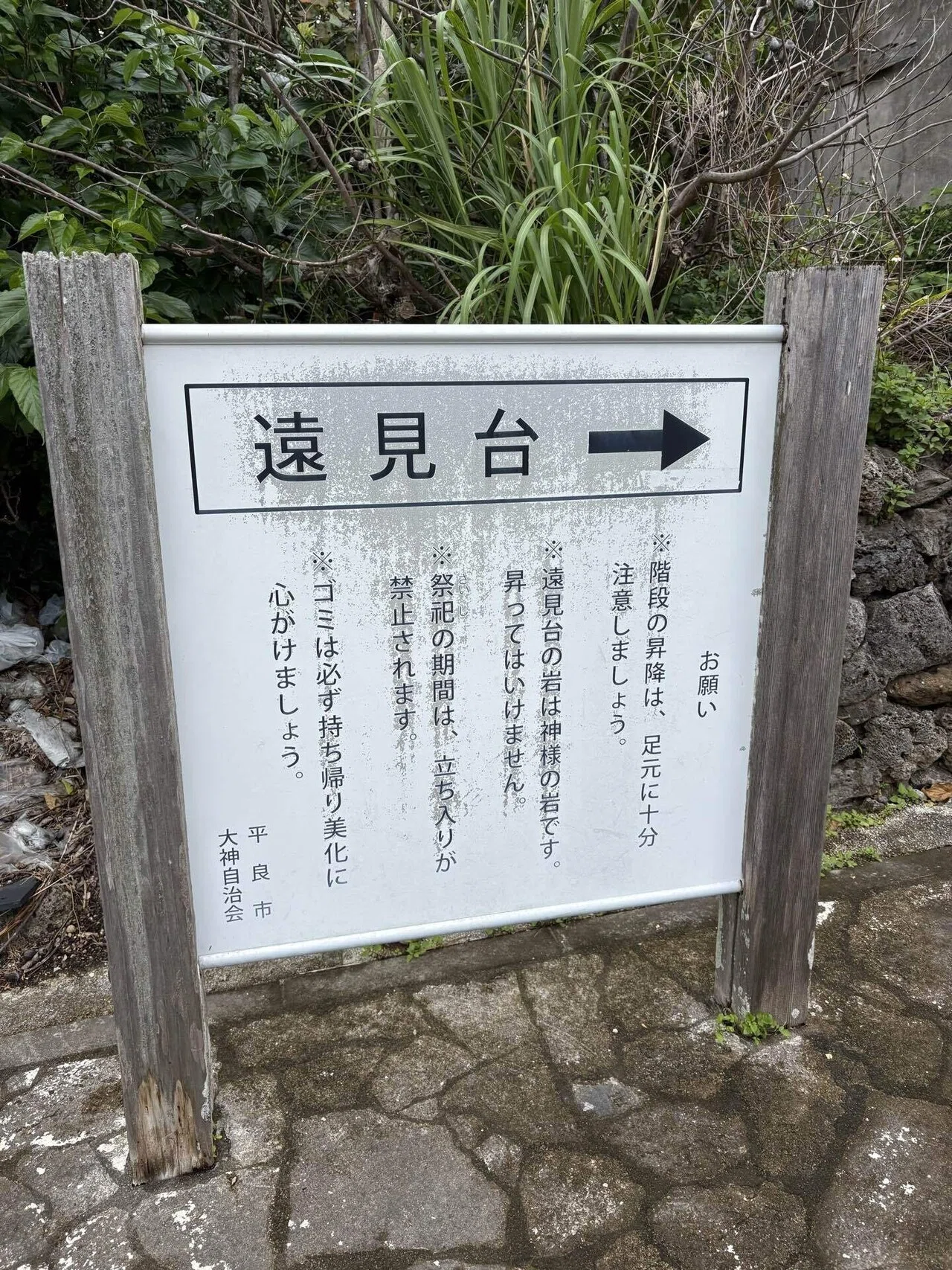 3月10日 大神島紀行文｜若林凌駕