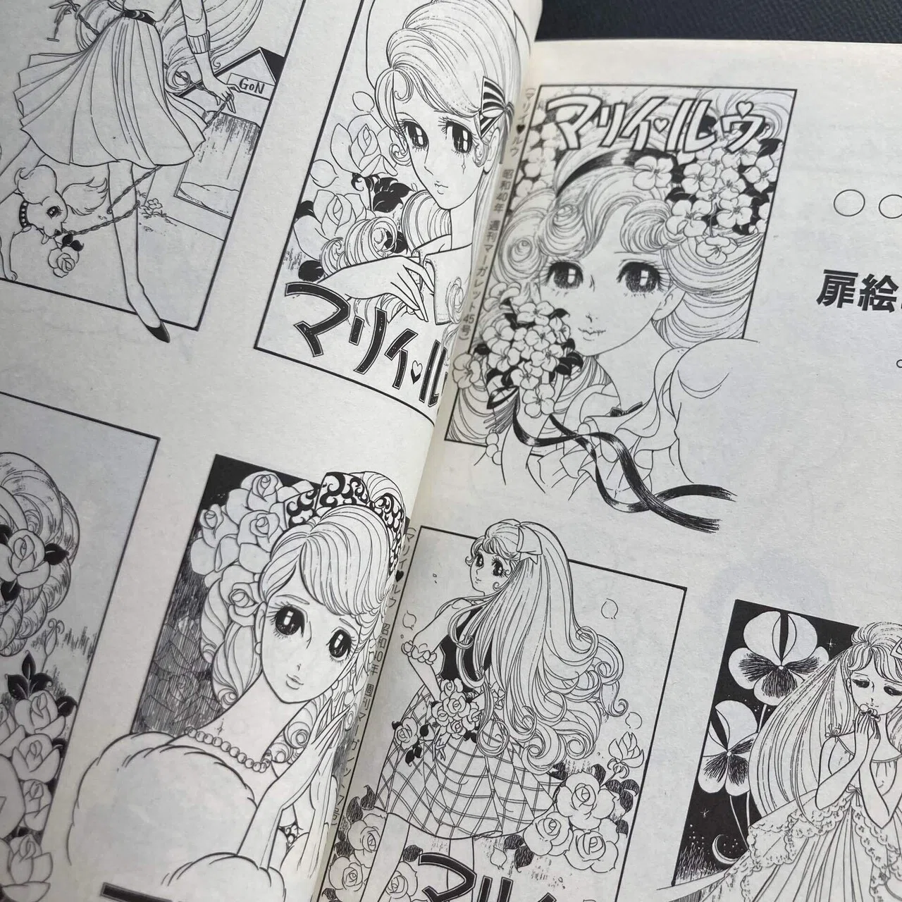 西谷祥子 「学園もの」の先駆者｜ロムド書店の書架