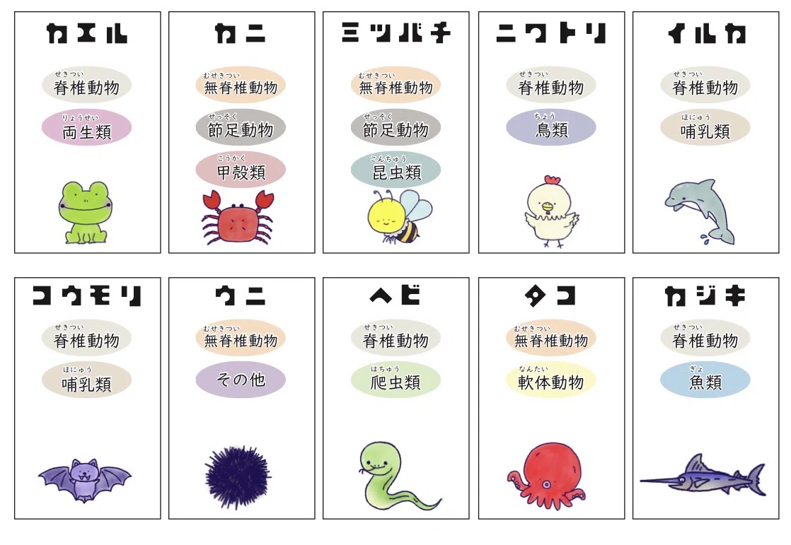 動物の分類カードゲーム｜ブリッジぷりんと