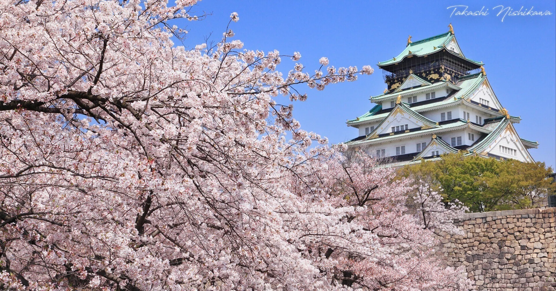 関西の桜咲く城の撮り方ガイド。｜風景写真家 西川貴之