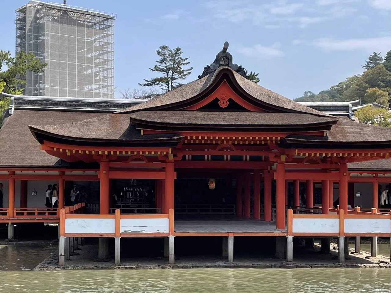 厳島神社と宮島さんぽ｜京都ひとり暮らし4か月〈春〉⑫｜ミモザときのこ