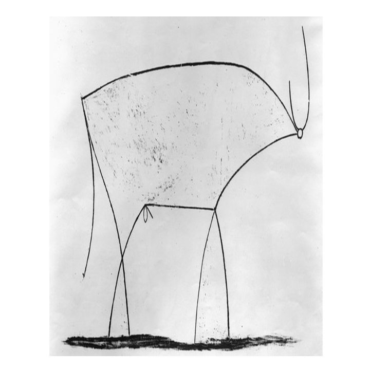 ピカソ と ジョブズ と 盆栽 植物再生工房rebonsai わかこ Note