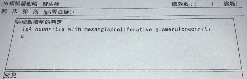Iga腎症との確定診断をいただきました Hiroki Tanaka Note
