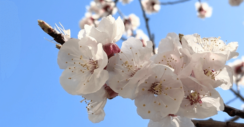 ニーズを満たす