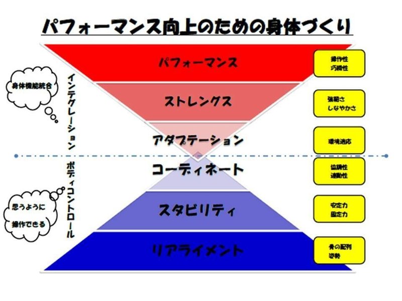 体づくりピラミッド