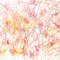 まなざし