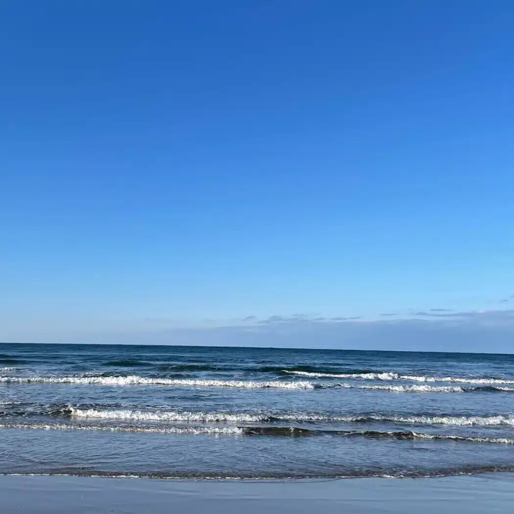 流夏