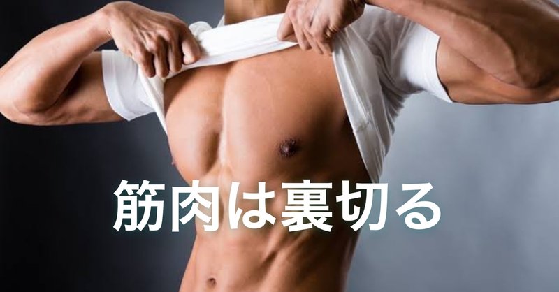 筋肉は裏切らない いや 普通に裏切るよ 阿部 陸 筋トレの価値を伝えるトレーナー Note 筋肉は裏切らない いや 普通に裏切るよ 阿部 陸 筋トレの価値を伝えるトレーナー Note