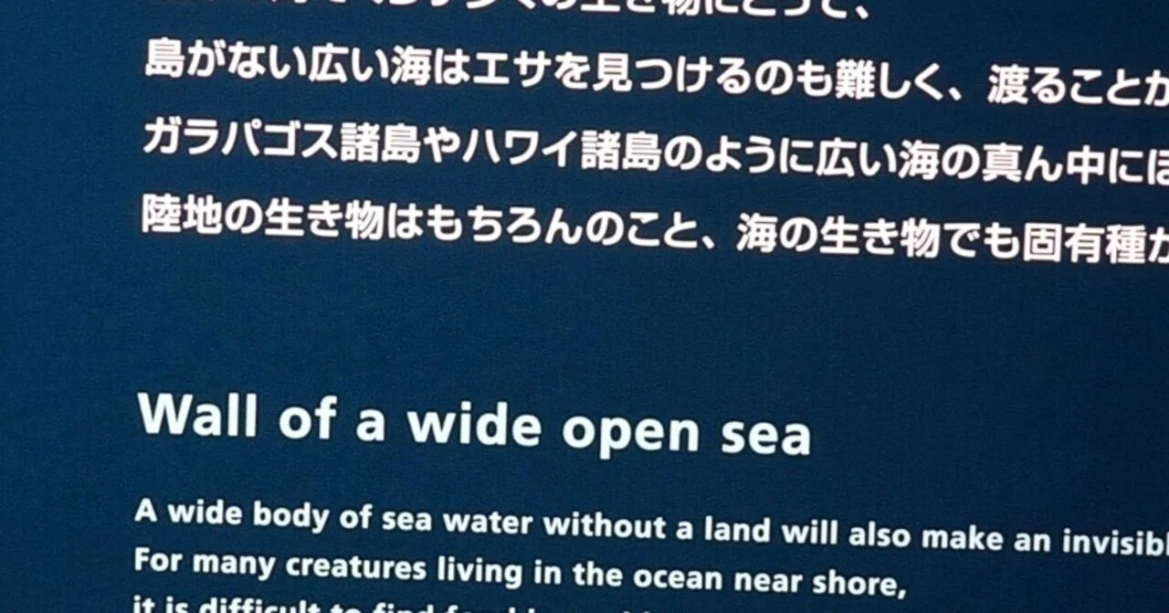 葛西臨海水族園で学ぶ英語表現【広い海の壁】｜ここからはじめる英語生活