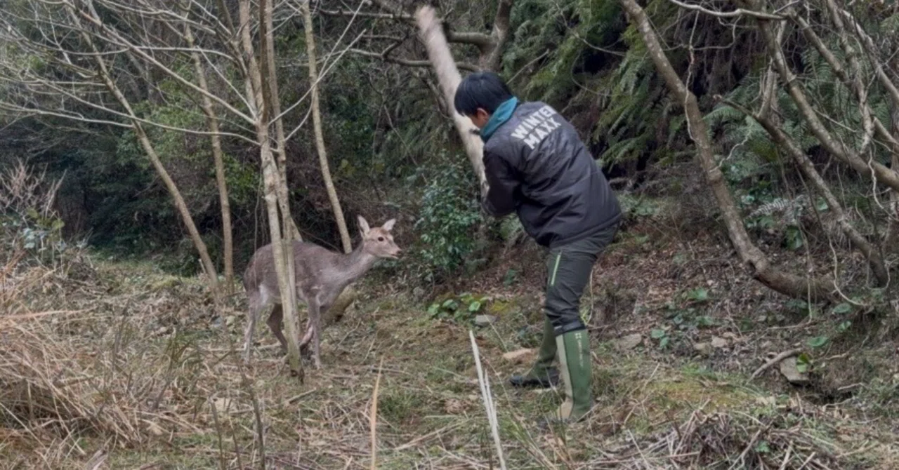 狩猟 ハンター 給料