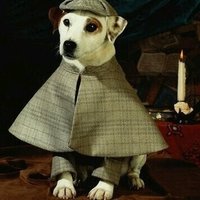 くんくん探偵 流行病で自宅療法中 のマガジン一覧 Note