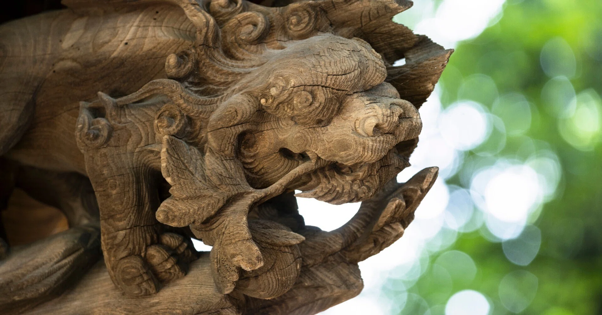 Main Hall and Carving Comparison Guide #1 - Lion｜川越氷川神社