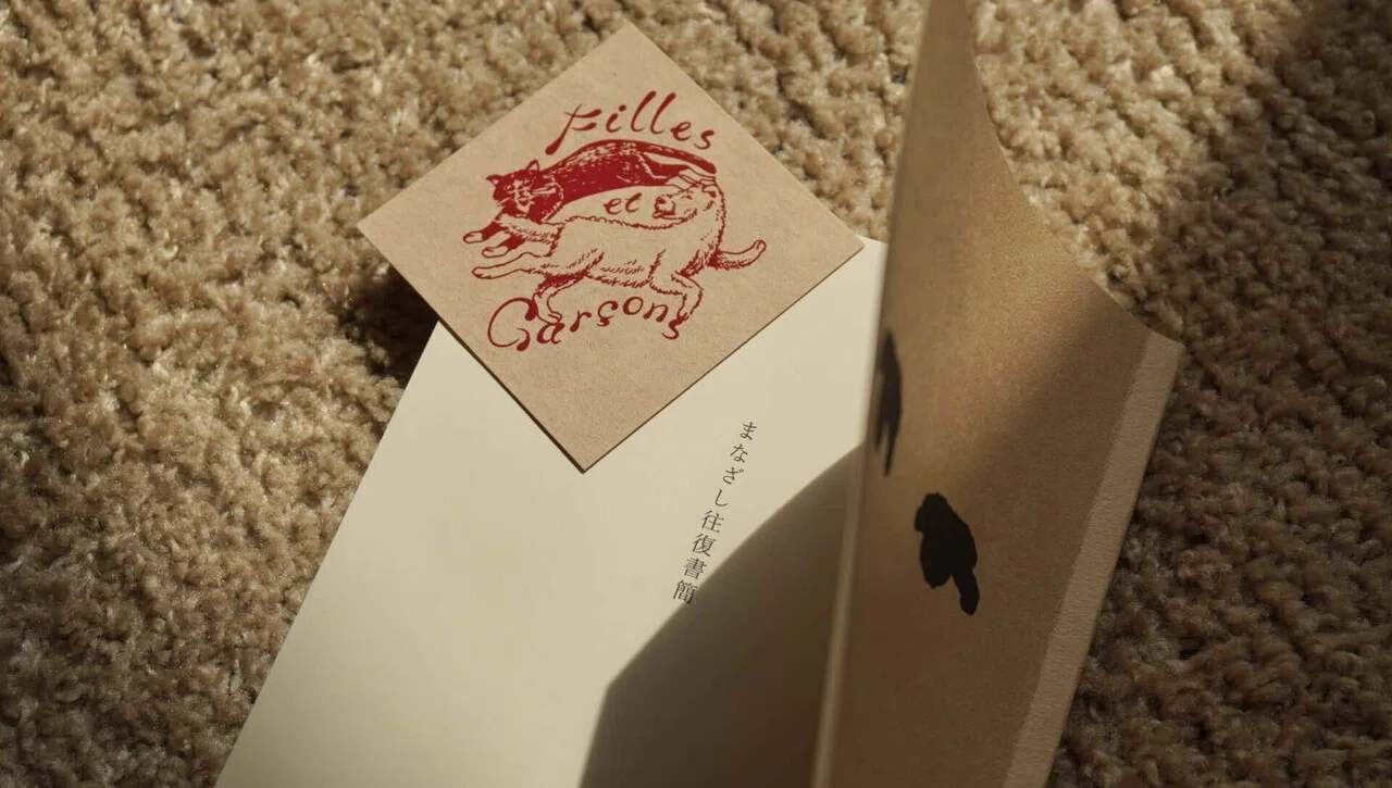ZINEっていいなぁ。⌇おすすめ3冊｜ネコ⌇30歳OL