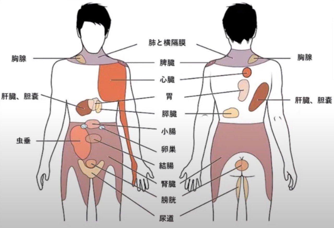 最も一般的な原因