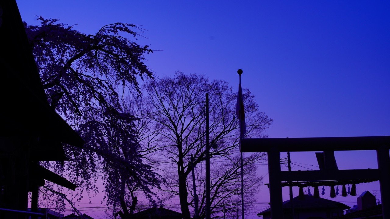 ドーンパープル At 八乙女周辺 ご近所カメラマンツッシー Note