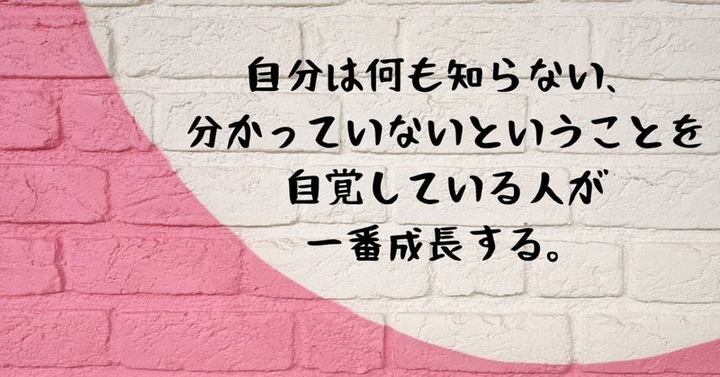 自分は何も知らない 分かっていないということを自覚している人が一番成長出来る 美脳子 成幸脳力 eqアップトレーナー note