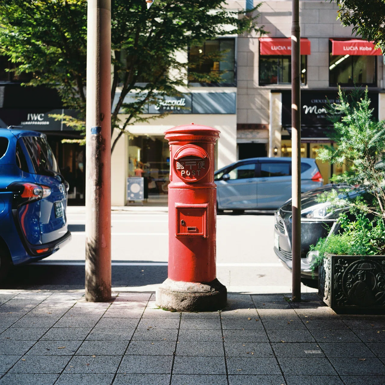 ついに中判フィルムカメラへ！『minolta AUTOCORD』｜Shogo Hagiwara