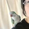 よもぎ|住まいと暮らしとオキナインコ