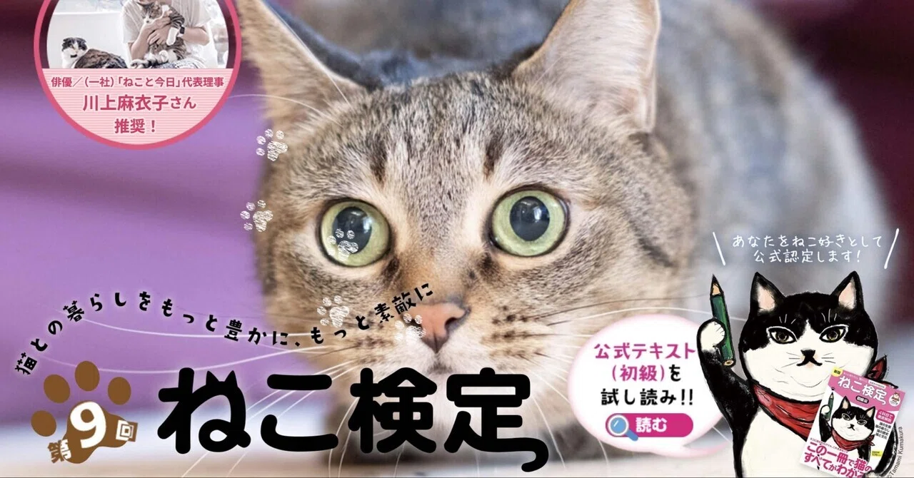 ねこ汰　3/15まで 保護ねこカレンダー5 | 株式会社ピーエーディー