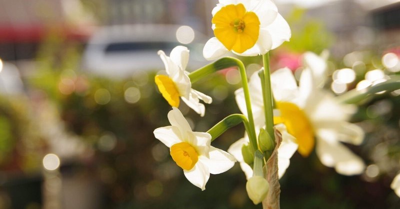 蔵敷と中央だべりサロン