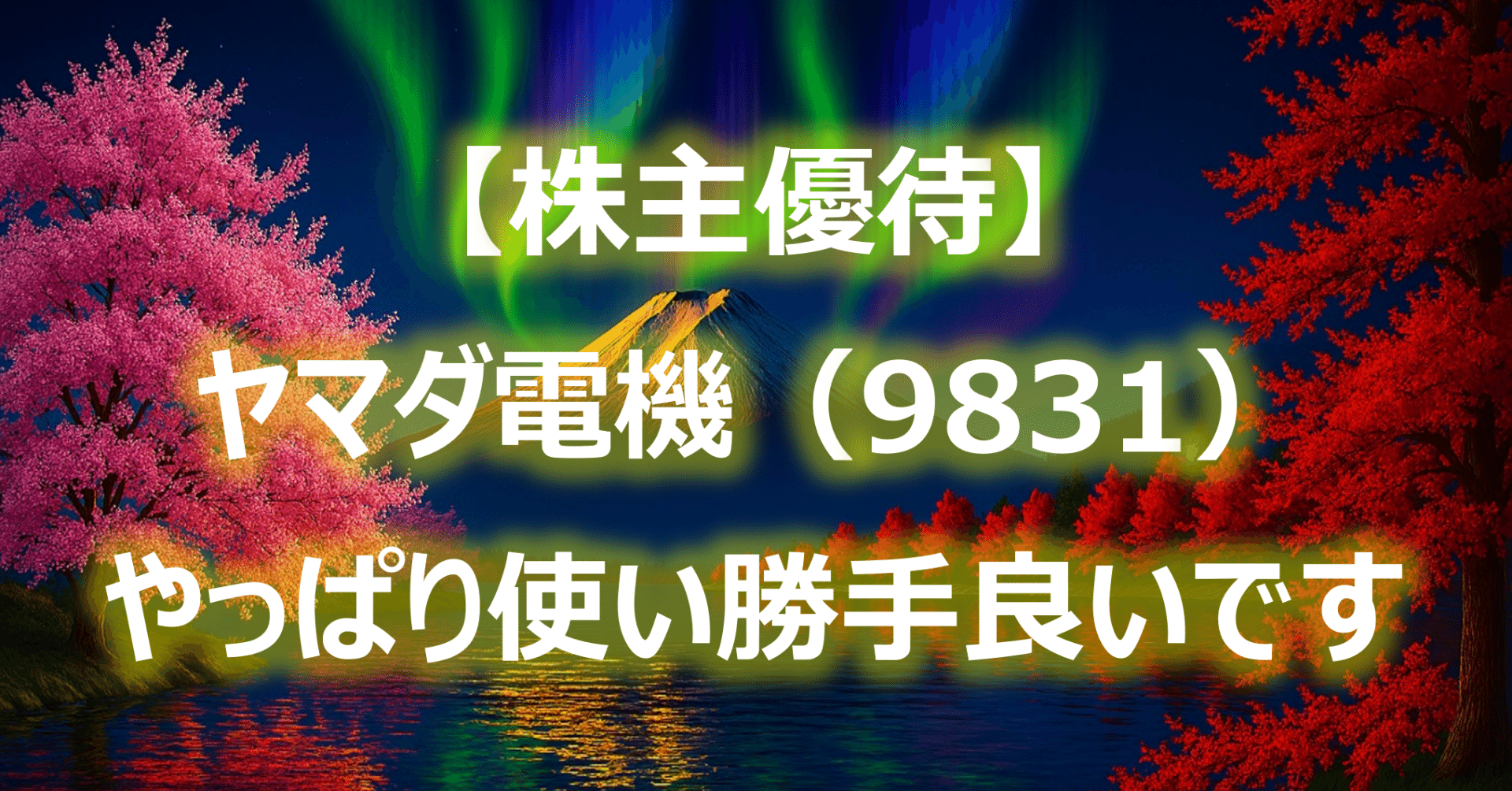 ヤマダ電機 株主優待 20,000円分 株主優待制度 -YAMADA HOLDINGS-