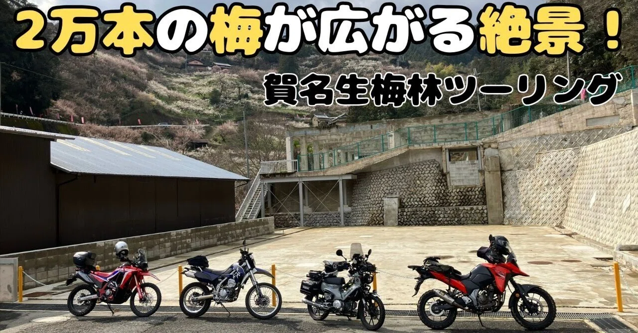 泥沼の先に待っていた、2万本の桃源郷。奈良・賀名生（あのう）梅林