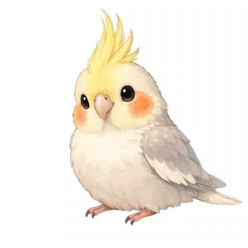 mmy00