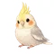 mmy00