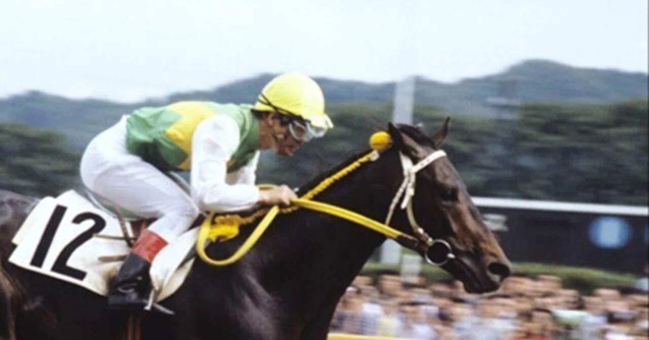 歴代牡馬三冠馬の世代レベルの考察｜ぱねす