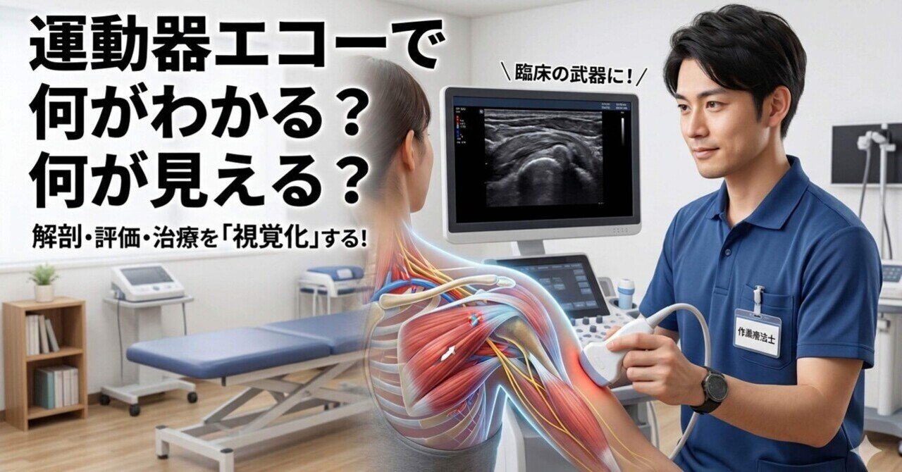 運動器エコーのメタ診療−痛みをどう考え、どう治すのか− 運動器エコーのメタ診療: 実臨床に役立つAR動画100本付き | 皆川 洋至