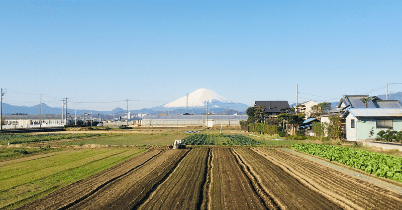 ブックカバーチャレンジ5日目-発酵文化人類学-