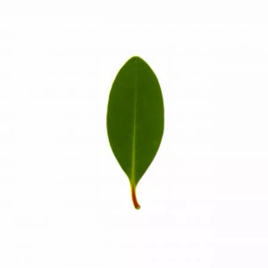愚痴満(26)