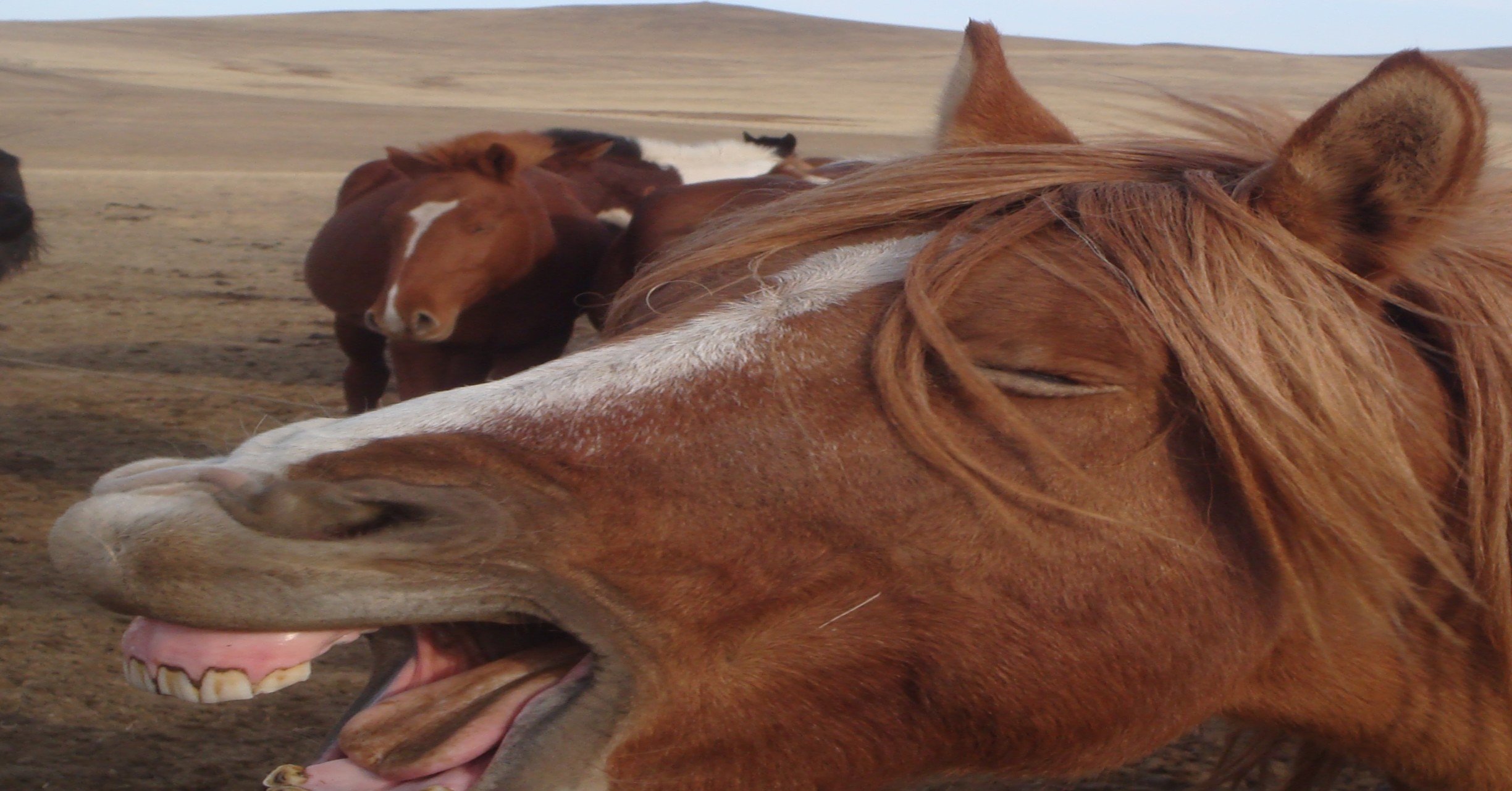 ちゃんと調べずに道ふを休めよ 反射的に道ふを休めよ 痛風雑技団 団長 Note
