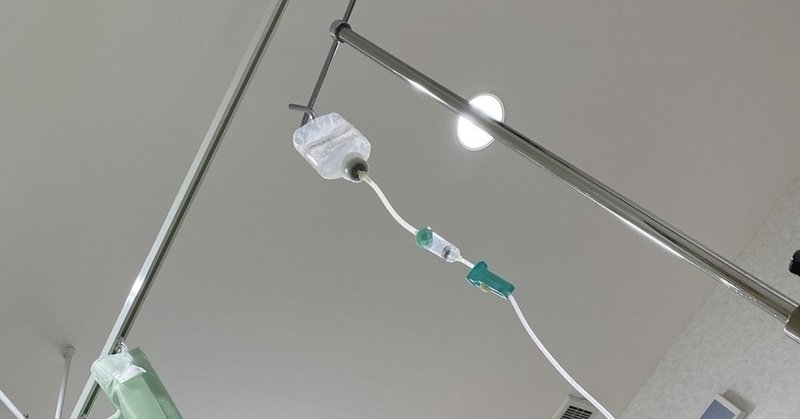 朝起きたらfaceidが認識しないくらい顔が腫れていた 突然訪れたヒスタミン中毒の恐怖 華枝 Hanae Note